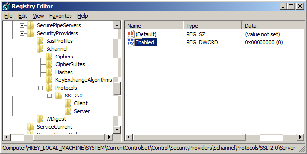 Disable SSL 2.0 in IIS inside the registry editor