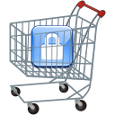 Do I need an SSL Certificate Shopping Cart