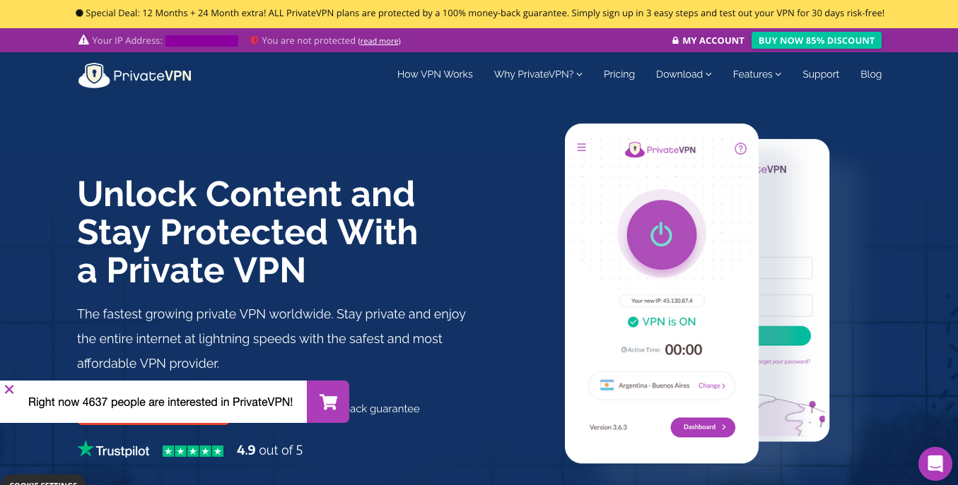 PrivateVPN home page